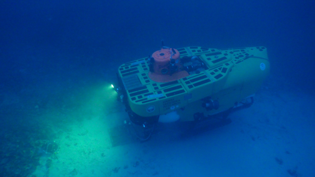 Pisces V submersible on the seafloor.